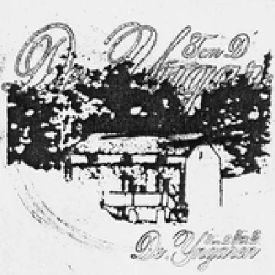 Album cover De.yngaren