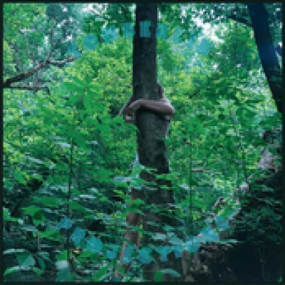 Album cover Projections