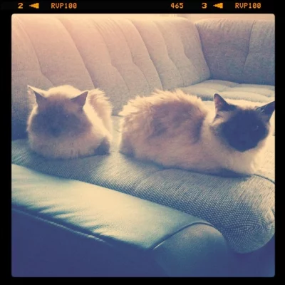 Approved by Mr B. & Ms N.