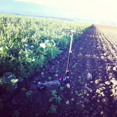 Test un nouveau chemin pour rentrer du job