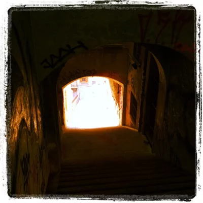 Ruelle des fougères