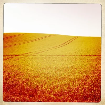 Windows #Hipstamatic #KaimalMarkII #Inas1969 #Stan