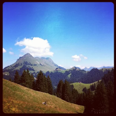 At the to of the Pralet