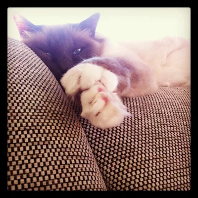 Farniente ... again and again