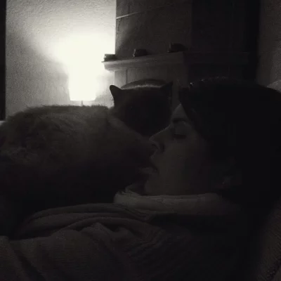 Pot de colle de chat