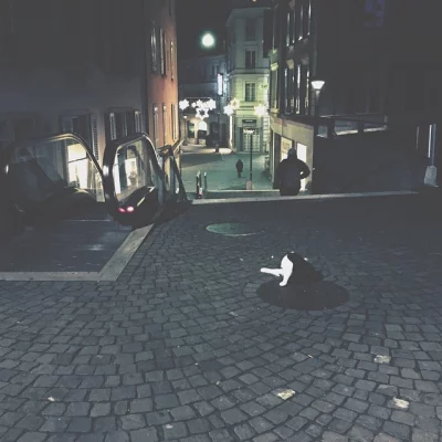 Petite toilette du matin