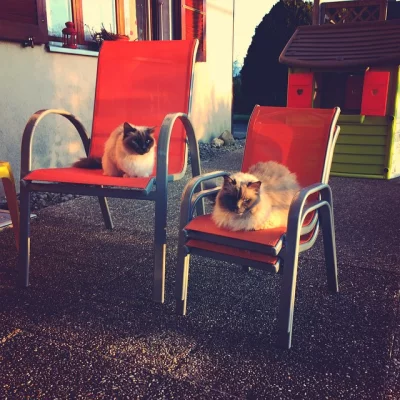 Tout le monde en mode terrasse