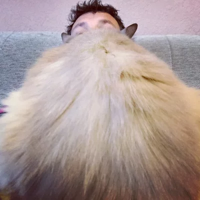 I'm just here ... behind @NoubaTheCat