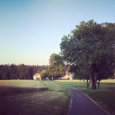 Église de Montpreveyres #strava #run