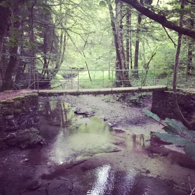 Pont sur la Bressonne #strava #run