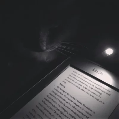I'm lucky tonight. My cat is not sit on my Kindle/