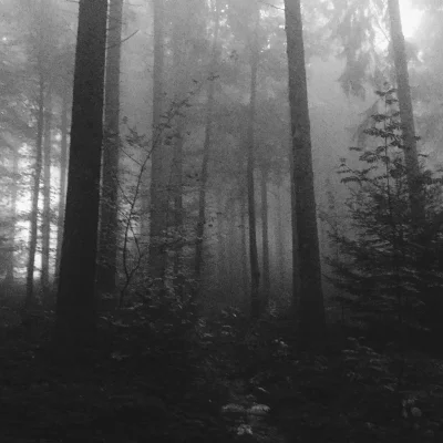 #strava #morning #running #vscocam