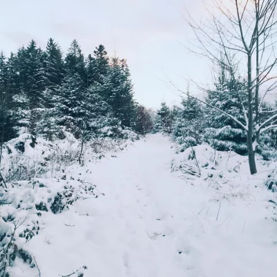 #running #snow #strava #jorat #switzerland découve