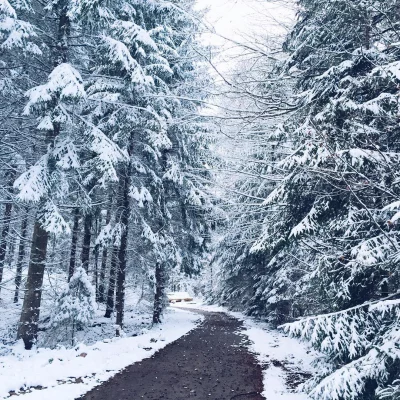 #running #snow #strava #jorat #switzerland