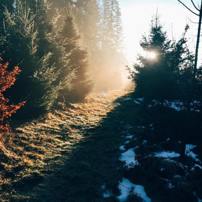 Follow the light #strava #running #jorat #morning