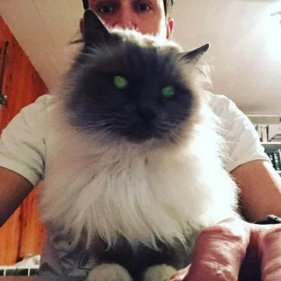 Pair coding with @BemolTheCat