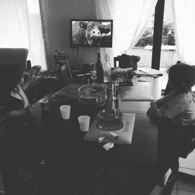 Le dimanche soir, on regarde le sport #reine 🐮