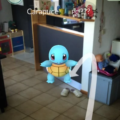 OMG!
Un carapuce dans notre salon