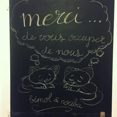 Merci 🐱 #cat #chalkboard #chalk