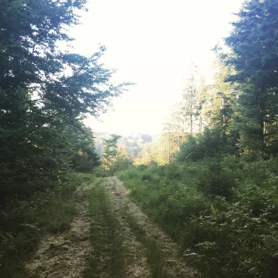 #strava #running #jorat en-dessous de st-Catherine