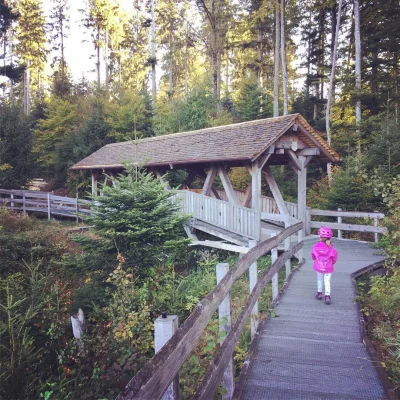 Pont des Brigands du Jorat #pou7