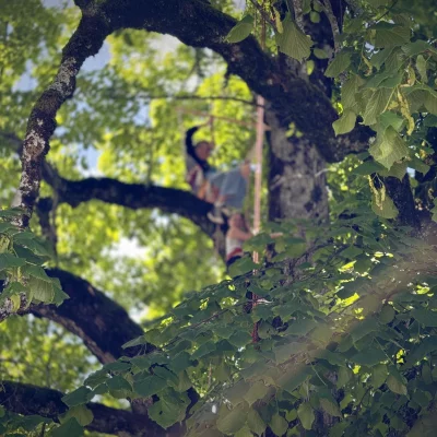 Kids in the trees