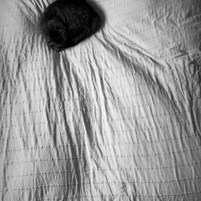 The Compo Challenge week 4