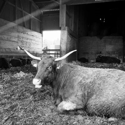 A walk around the village