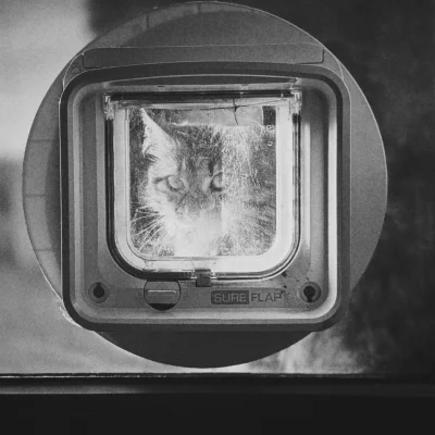 The Compo Challenge week 3