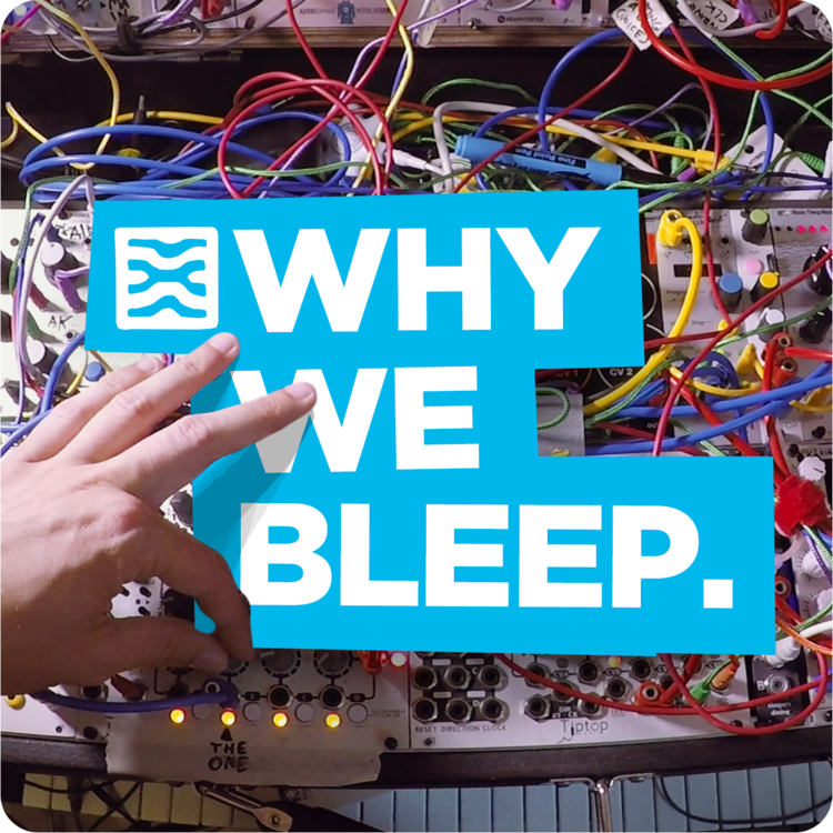 Why We Bleep thumbnail